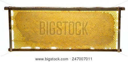 Beecomb Texture Close Up - The Detail