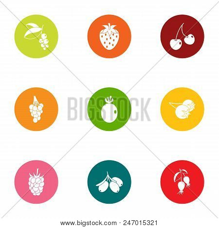Berry Field Icons Set. Flat Set Of 9 Berry Field Vector Icons For Web Isolated On White Background