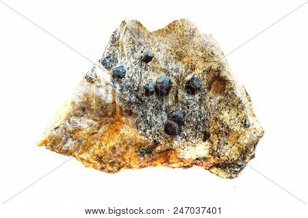 Red Garnet Mineral Isolated On The White Background