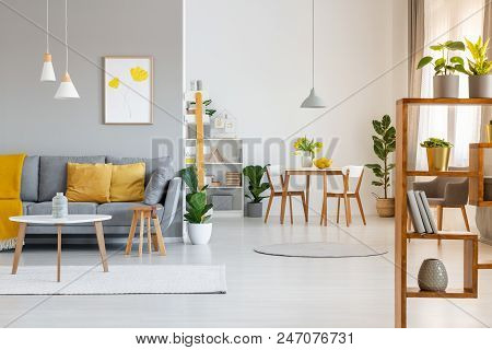 Real Photo Of An Open Space Interior With Yellow Cushions And Blanket On Gray Sofa In The Living Are