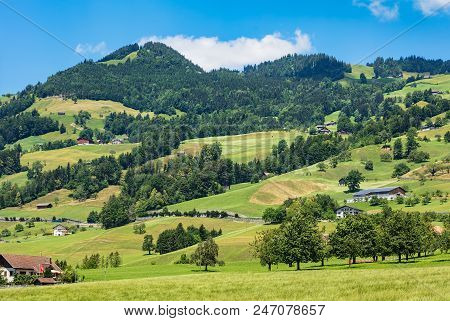 A Summertime View In The Swiss Canton Of Schwyz. The Picture Was Taken At The End Of June In The Reg