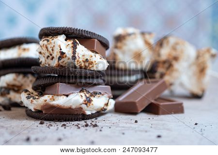 Melted Dessert Marshmallow Smores With Chocolate Cookies