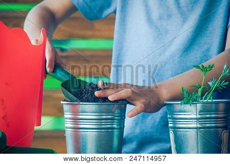 Kid Hands Gardening In Balcony, Terrace In Backyard