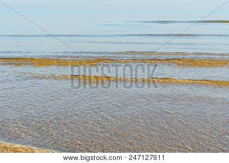 Persian Gulf Coast In Bushehr Province. Iran