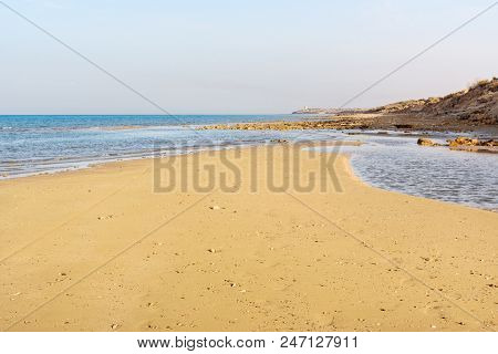Wild Beach Of Persian Gulf Coast. Bushehr Province. Iran