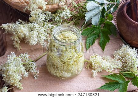 A Jar Filled With Meadowsweet Blossoms And Alcohol, To Prepare Homemade Tincture