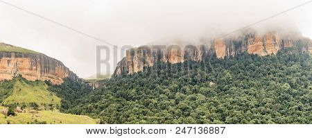 The Gudu Forest With The Gudu Falls In The Back Near Mahai In The Kwazulu-natal Drakensberg