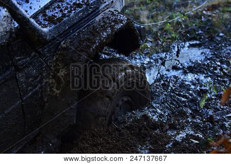 Fragment Of Car Stuck In Dirt, Close Up. Wheel In Deep Puddle Of Mud Overcomes Obstacles. Offroad Ti