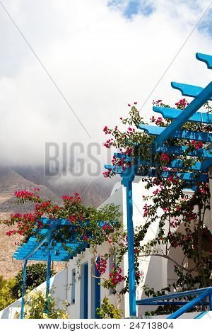 Popínavé květy, Perissa, Santorini, Řecko