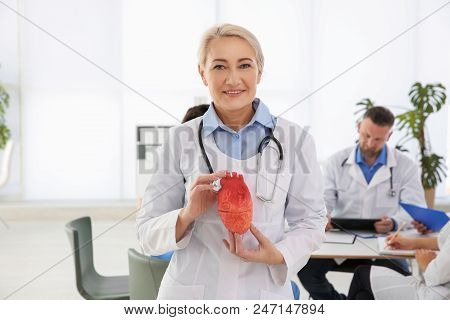 Female Doctor Holding Heart Model In Clinic. Cardiology Center