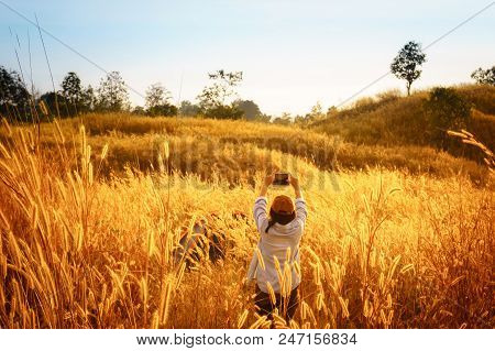 Outdoors Camping Grass Highlands Mountain In The Sunset.
