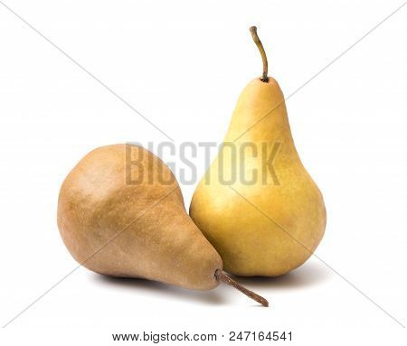 Bosc Pears Isolated On A White Background