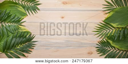 Palm Tree Leaves On Vintage Planked Wood Background - Layout With Free Text Space.