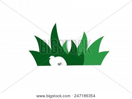 Bird With Eggs Hidden In Grass. Simple Vector Illustration.