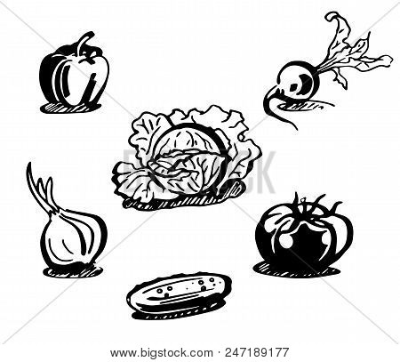 Veg.eps