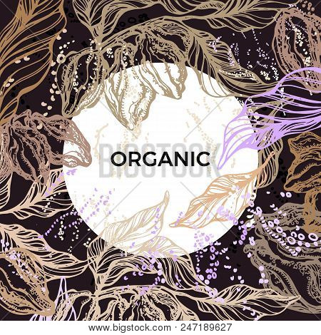Vector Template Of Cocoa Tree Branch With Leaf, Bean. Border Frame On Dark Background Botanical Hand