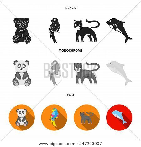Panda.popugay, Panther, Dolphin.animal Set Collection Icons In Black, Flat, Monochrome Style Vector 