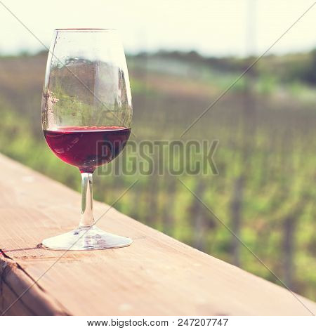 Glasses With Wine Red. Tasting Wine In The Vineyard.