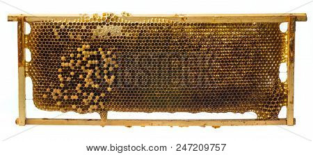 Beecomb Texture Close Up - The Detail - Honey Comb