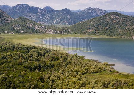 Bahenní Skadarsko jezero