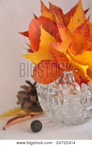 Bouquet di foglie colorate in vaso tondo