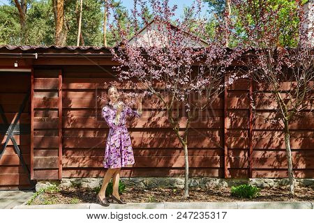Beautiful Brunette Female Wearing Pretty Dress With Floral Print Standing Near Blooming Cherry Tree