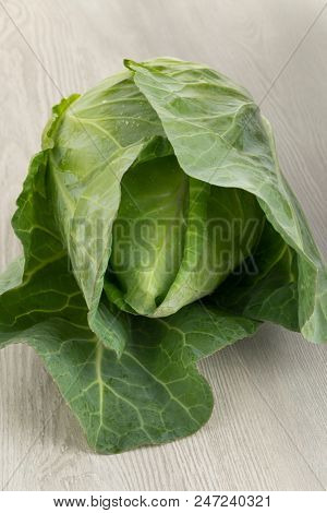 Fresh whole organic pointed cabbage