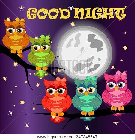 Good Night Card With Moon And Cute Owl