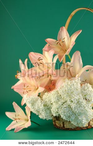 粉红色的百合和白色绣球花在绿色背景上的宝箱的花朵。
