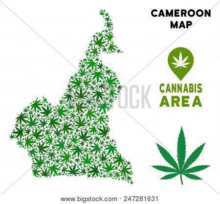 Weed African Cameroon Map Composition Of Marijuana Leaves. Narcotic Distribution Template. Vector Af