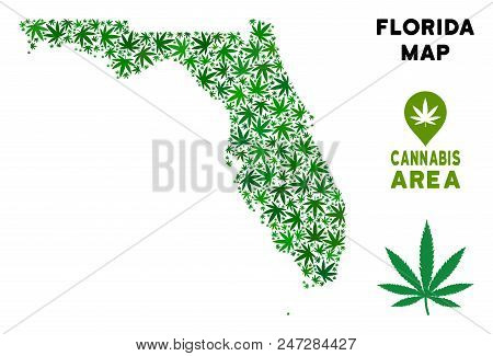 Ganja Florida Map Mosaic Of Marijuana Leaves. Narcotic Distribution Template. Vector Florida Map Is 