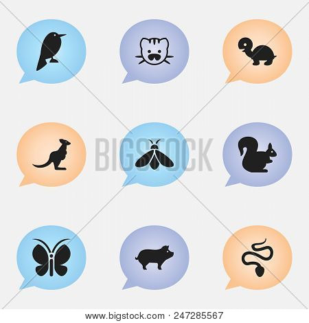 Set Of 9 Editable Zoo Icons. Includes Symbols Such As Butterfly, Kangaroo, Turtle And More. Can Be U