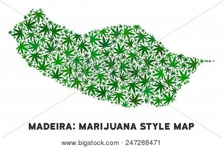 Weed Portugal Madeira Island Map Composition Of Marijuana Leaves. Narcotic Distribution Template. Ve