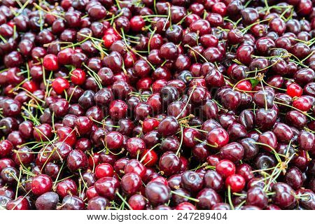 Cherry. Fresh Organic Berries With Leaves Macro. Fruit Background.