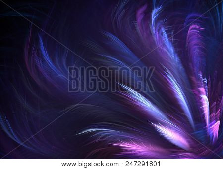 Fractal Pinnate Winged Topknot Background - Fractal Art