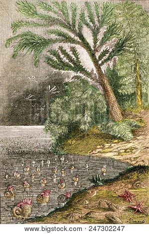 Ideal landscape of the early Jurassic times, vintage engraved illustration. From Natural Creation and Living Beings.