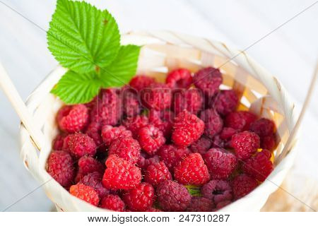 Fresh Juicy Raspberry Bright Saturated Color Collected In A Basket In The Garden