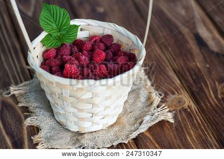 Fresh Juicy Raspberry Bright Saturated Color Collected In A Basket In The Garden