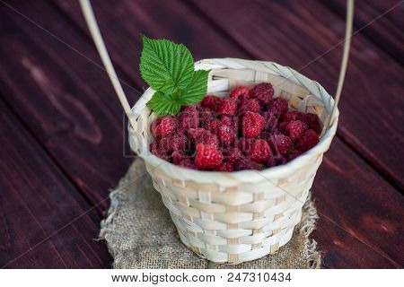 Fresh Juicy Raspberry Bright Saturated Color Collected In A Basket In The Garden