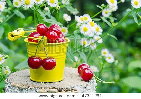 Red Ripe Cherry On A Background