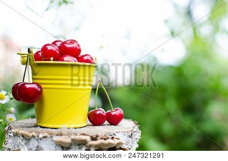 Red Ripe Cherry On A Background
