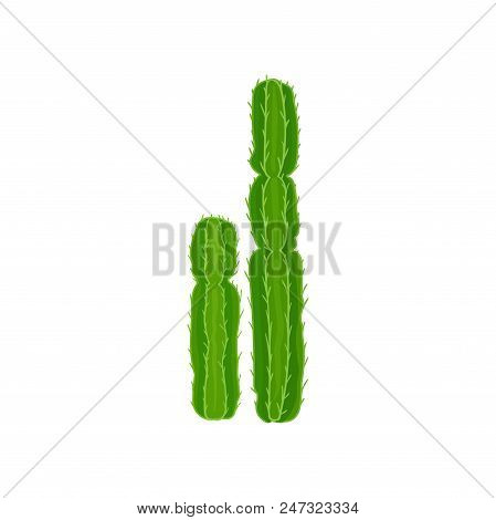 Euphorbia Cactuss Plant Vector Illustration Isolated On A White Background.