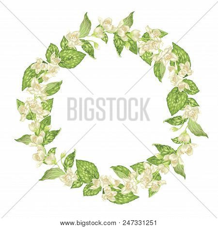 Circle  Wreath With Jasmine Flowers In Graphic Vector Realistic Illustration With A Lot Of Tiny Flow