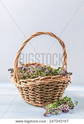 flowering oregano in a basket on a wooden table
