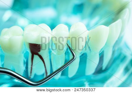 Dentist Cleaning Teeth