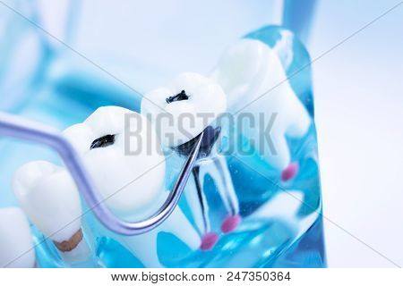 Dentist Cleaning Teeth