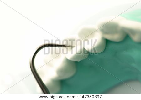 Dentist Cleaning Teeth