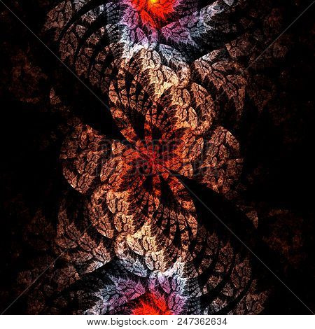 Fractal Pinnate   Pattern  -  Fractal Bright Art