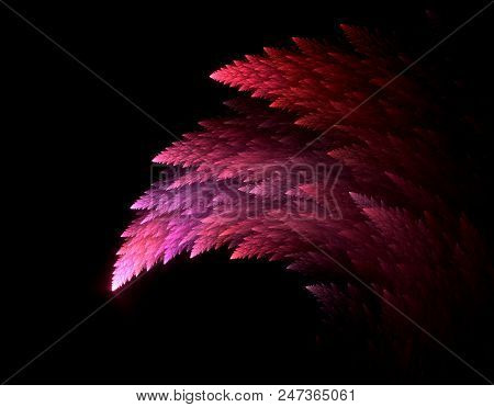 Fractal Branches Isolated On Black  - Fractal Art