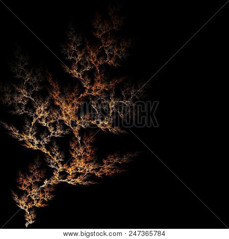 Fractal Branches Isolated On Black  - Fractal Art